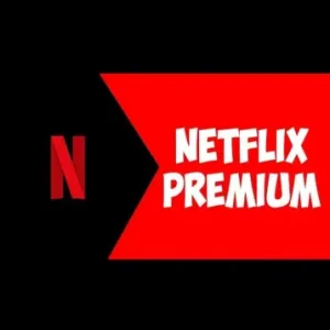 Buy Netflix Premium Accounts